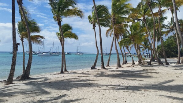 Beach nearby, sun loungers