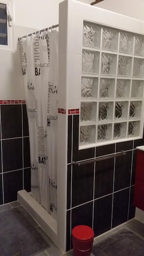 Shower, hair dryer, towels, toilet paper