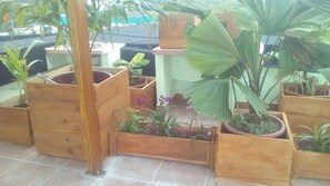 Jardines del alojamiento