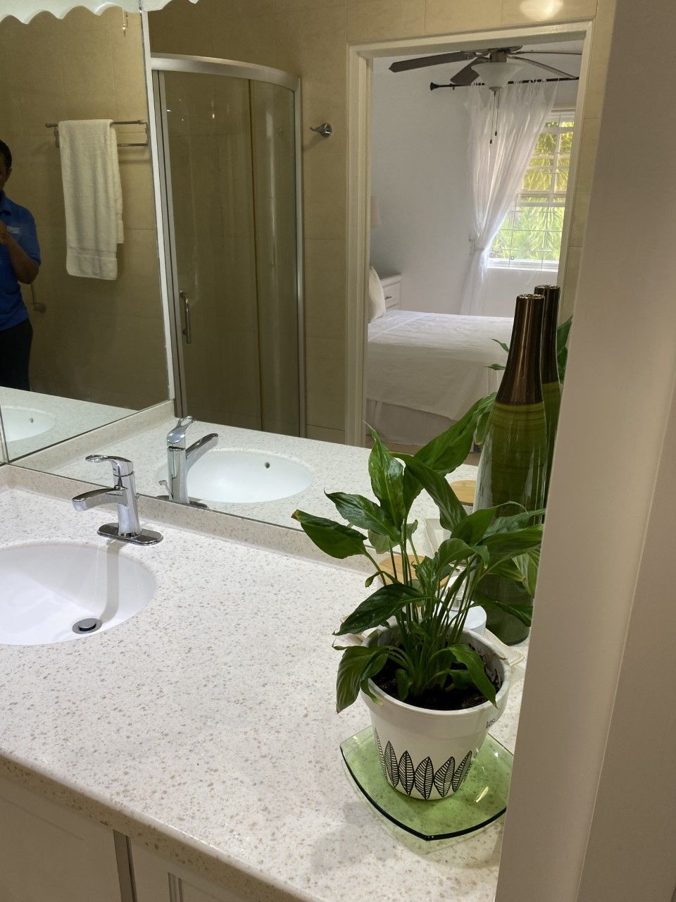 A bathroom with a double sink, a glass shower enclosure, and a potted plant on the counter.