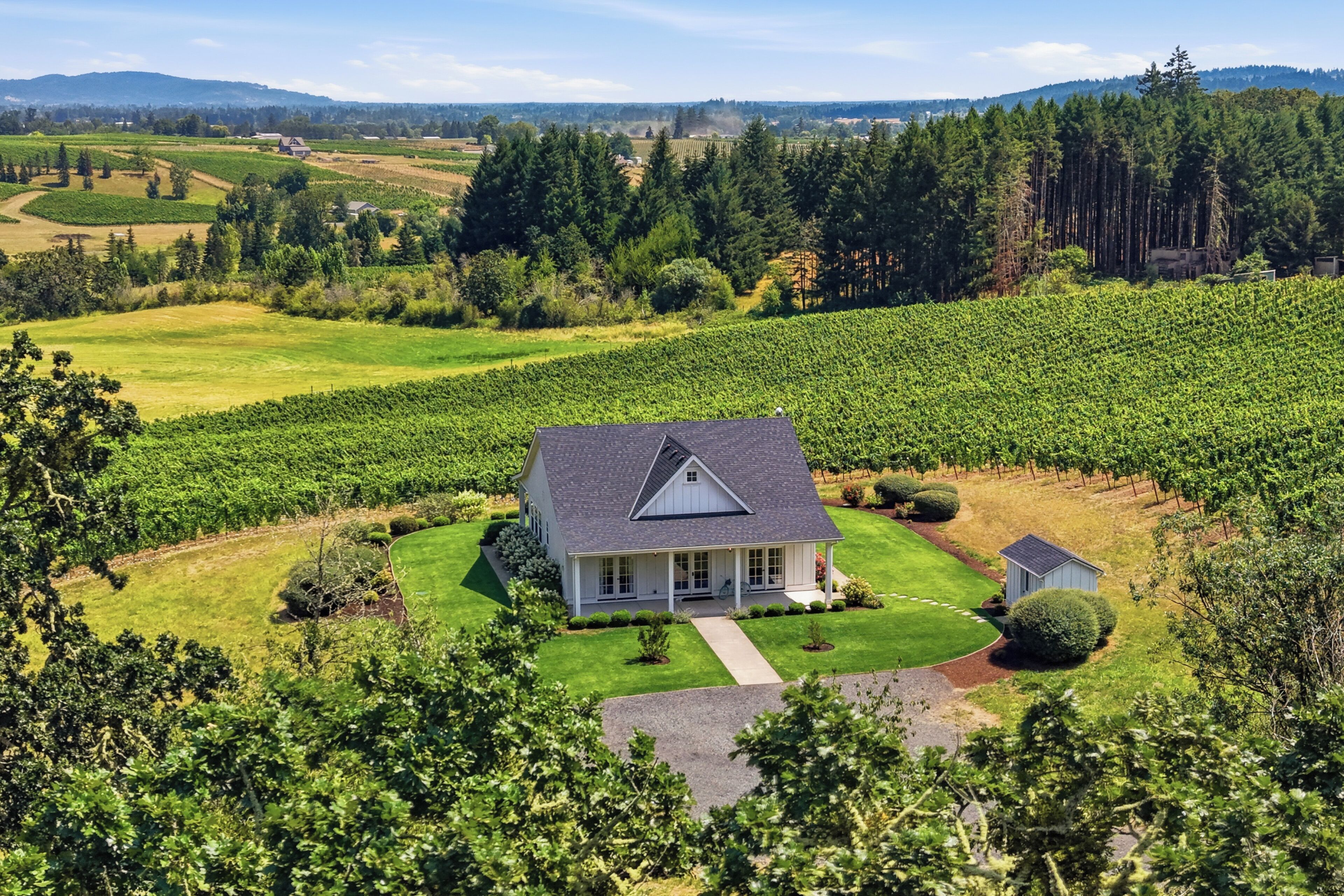 A house with a large lawn, surrounded by vineyards and trees.