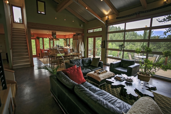 TV, fireplace, DVD player, books