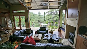 TV, fireplace, DVD player, books