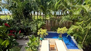 Un área de piscina con dos sillones de descanso, rodeada de exuberante vegetación tropical y una terraza de madera.