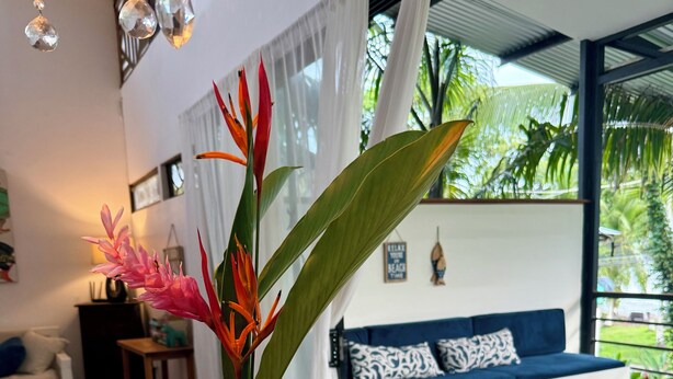 A modern living room with a wooden table, a black vase with a plant, a blue sofa with patterned cushions, and a view of greenery outside. - Beachside Designer Home with Pool Sleeps 8 (Puerto Viejo de Talamanca)