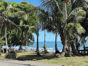 Una zona costera amb palmeres, una platja i un cel serè.