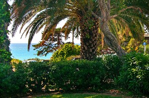 Property grounds - Stay and play in the Village by the Sea! (Del Mar)