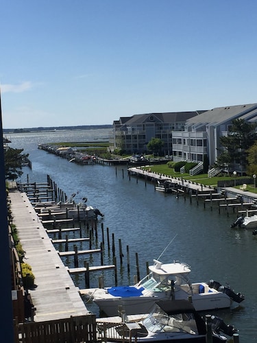 BEAUTIFUL & CLEAN! Waterfront condo with epic sunsets and a POOL!