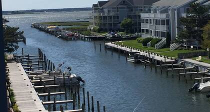 Kaunis ja puhdista! Rannalla remontoitu huoneisto, jossa on eeppisiä näkymiä ja uima-allas