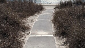 A pathway leading to the beach with tall grasses on either side.