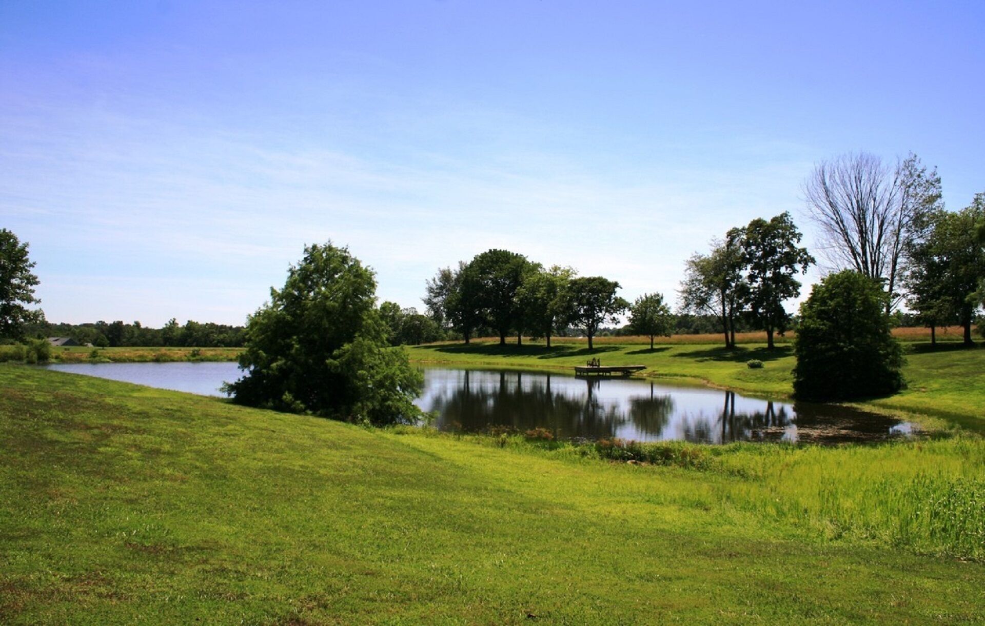 Un paysage paisible avec un étang, des zones herbeuses et des arbres.