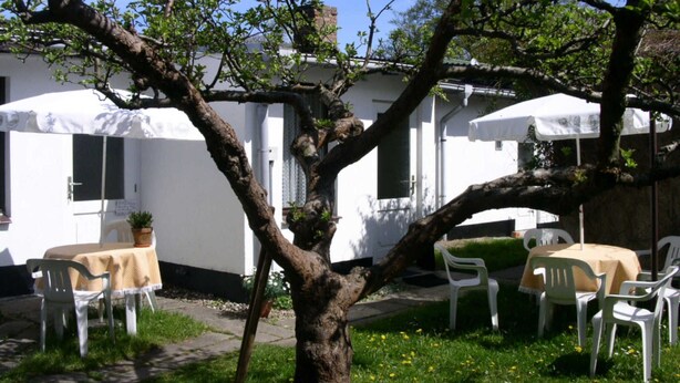 Een buitenruimte met bomen, witte gebouwen, terrasmeubilair met tafels en stoelen, en een gazon.