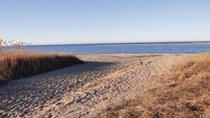 Une plage de sable offrant une vue dégagée sur l’océan.
