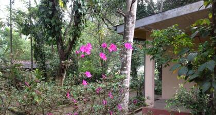 B&B Memories Holiday Bungalow - Hostel