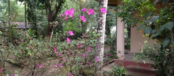 B&B Memories Holiday Bungalow - Hostel