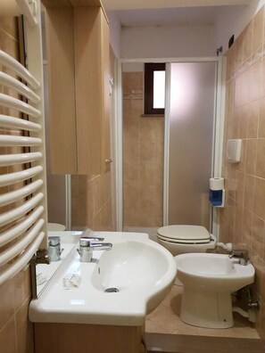 Shower, hair dryer, bidet, towels