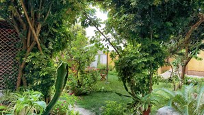 Un jardin avec un chemin en pierre, différentes plantes en pot et un petit espace aménagé pour s’asseoir.