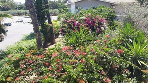 Un parking rempli de voitures, un bâtiment avec un toit gris et diverses plantes, notamment des fleurs roses et des feuilles vertes.