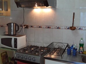 ファミリー アパートメント 2 ベッドルーム 専用バスルーム 1 階 | 専用キッチン | 冷蔵庫、電子レンジ、オーブン、コンロ