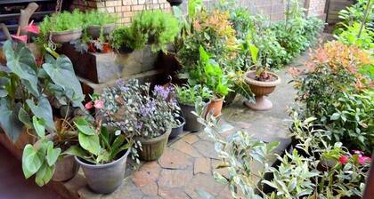 Highcliffe Guesthouse
