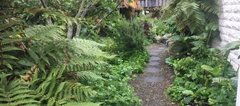 Nile Court on Nile Street