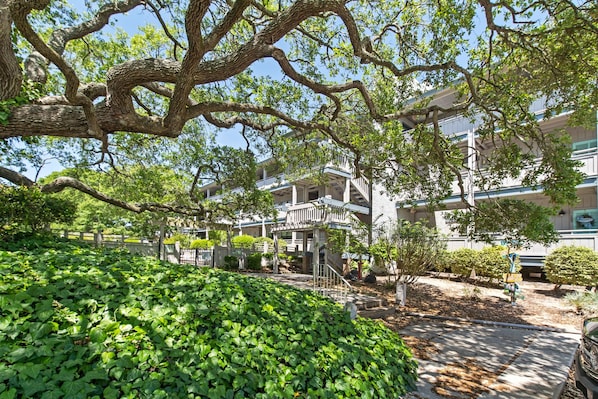 Um edifício com varanda, cercado por vegetação e árvores.