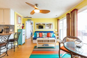 TV, fireplace, DVD player, books