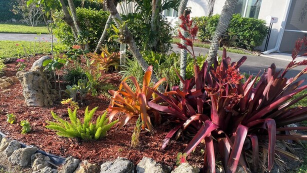 Un jardín ajardinado con diversas plantas, rocas y una zona pavimentada.