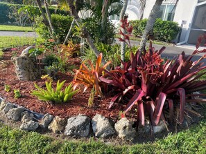 A landscaped garden with various plants, rocks, and a paved area.