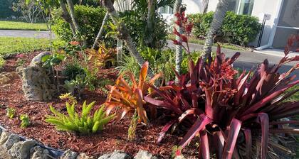 Quiet, newly renovated home with pool and garden