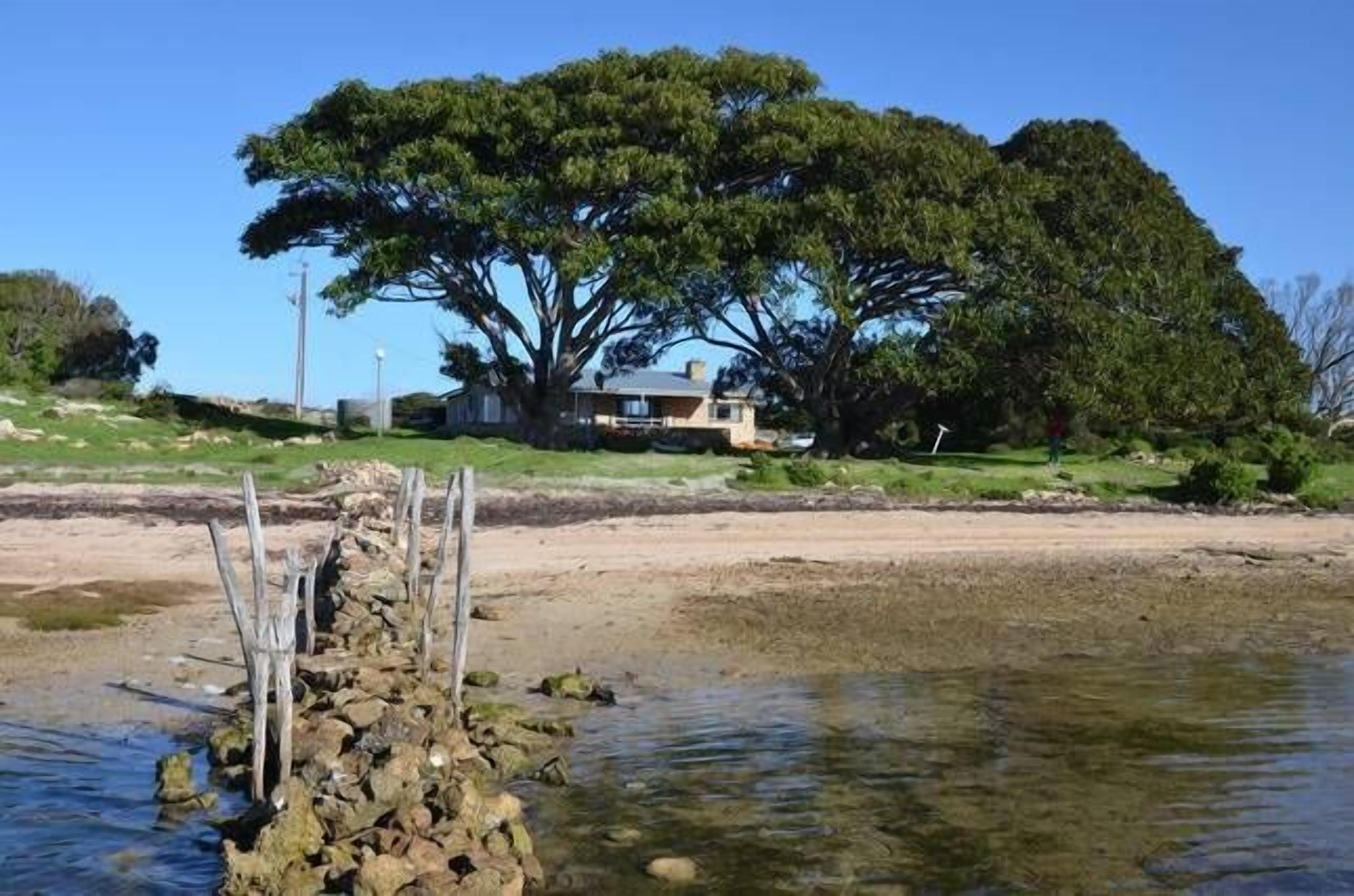 A house with a large tree in front, a stone wall, and a clear view of the water.