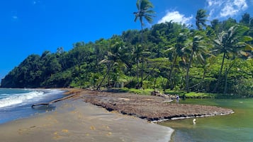 Plage à proximité, serviettes de plage