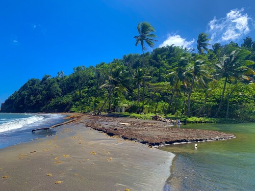 Eco-Cottage studio w/ epic ocean & mountain views