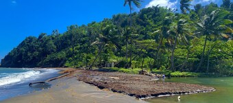 Eco-Cottage studio w/ epic ocean & mountain views