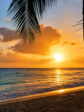A beach with a palm tree, ocean, and sunset.