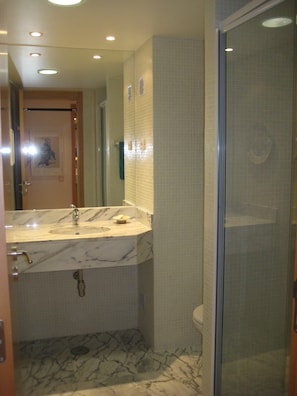 Combined shower/tub, hair dryer, bidet, towels