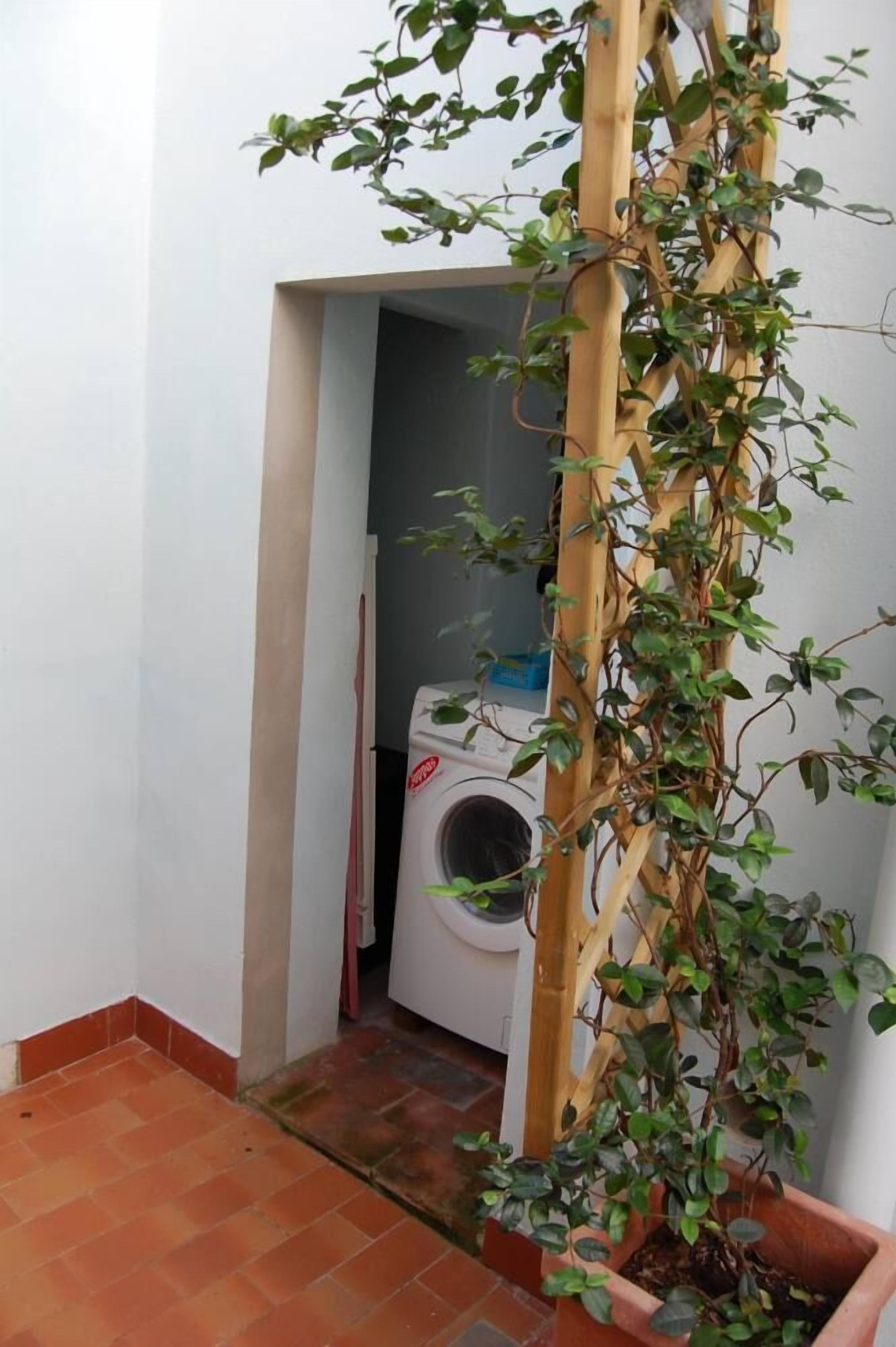 A laundry area with a washing machine and a wooden trellis with climbing plants.