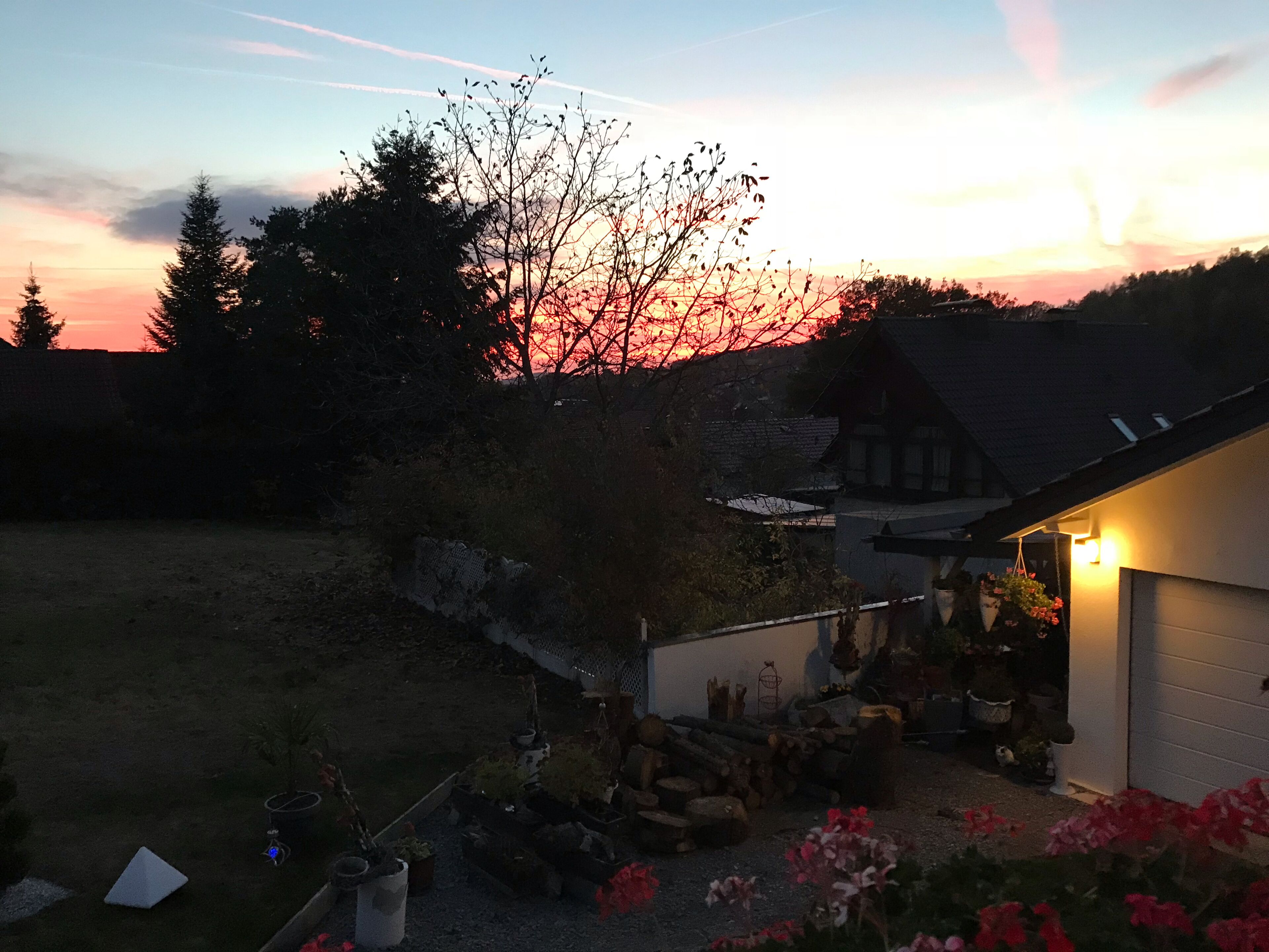 A house with a garden at dusk, featuring a wooden structure, a shed, and various plants and flowers.