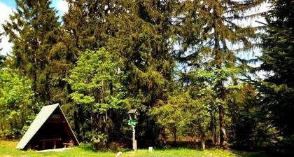 Ubicado entre Rennsteig y la Reserva de la Biosfera de la UNESCO, el Bosque de Turingia