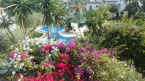 A garden with vibrant flowers, a pool, and a gazebo.