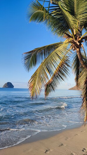 A beach with palm trees, clear blue sky, and calm sea. - Studio Ti Diamant Residence with pool, near the beach of Diamant and shops (Le Diamant)