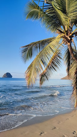 Plage. Studio Ti Diamant Résidence avec piscine, proche plage du Diamant et commerces