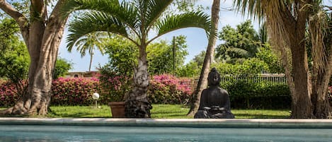 A serene pool area with a Buddha statue, surrounded by lush greenery and flowering plants.