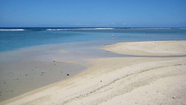 A beach with clear skies and calm waters. - Large villa **** beachfront with pool  (La Saline-Les-Bains)