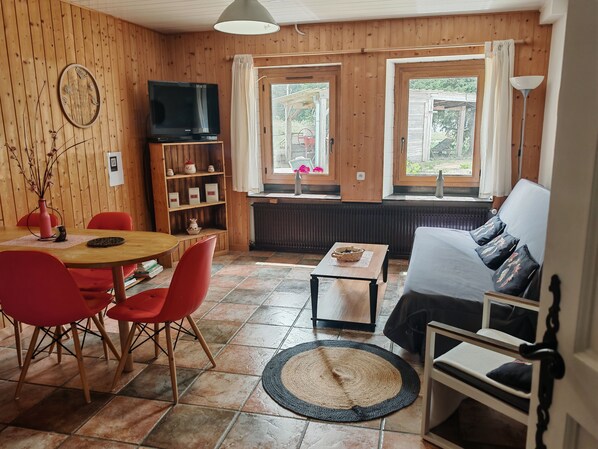 Fernseher, DVD-Player, Bücher