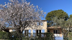 Uma casa com porta azul, cercada por uma cerca e uma árvore florida com flores brancas.