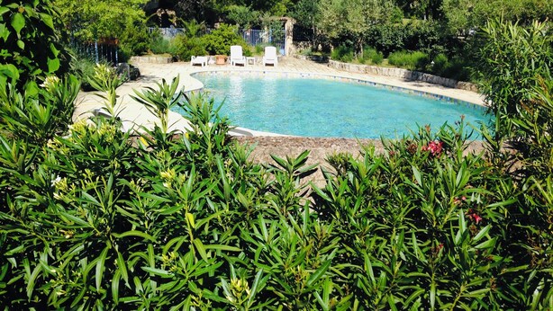 Piscina rodeada por vegetação exuberante e um muro de pedra.