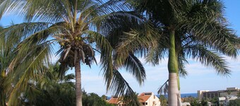  Three bedroom Adobe home on Golf Course...... SPRING BREAK IS OPEN!!