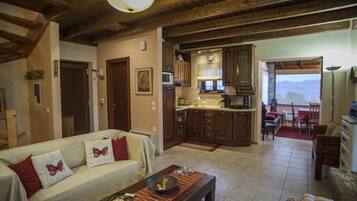 Télévision, cheminée, lecteur de DVD, livres