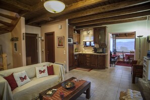 TV, fireplace, DVD player, books